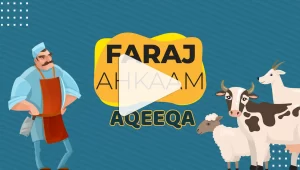 Aqeeqa