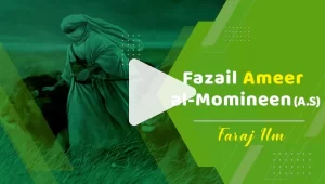 Fazail Ameer al-Momineen (A.S)